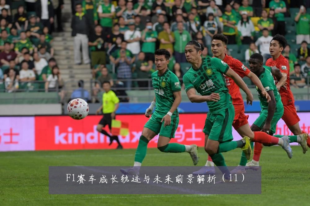 F1赛车成长轨迹与未来前景解析(11)