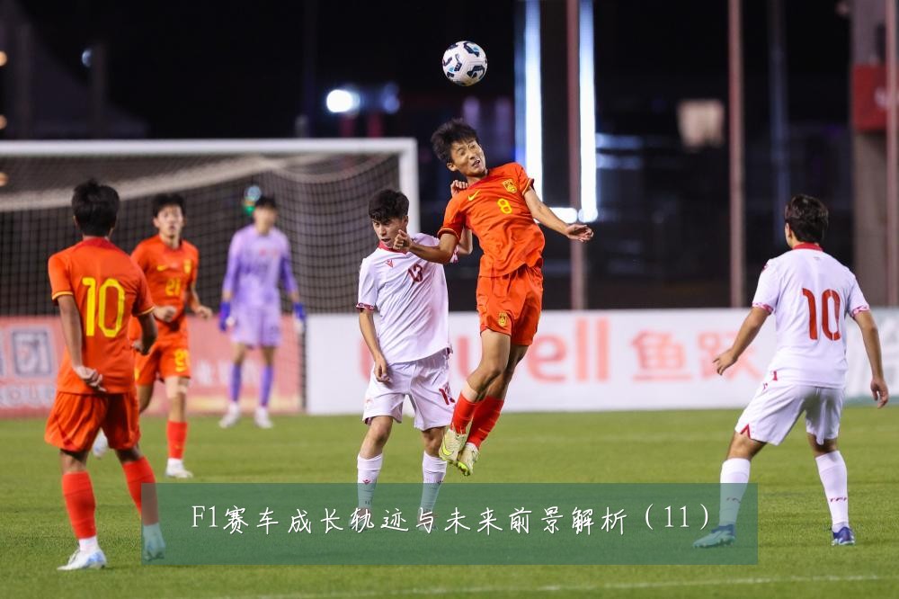 F1赛车成长轨迹与未来前景解析(11)