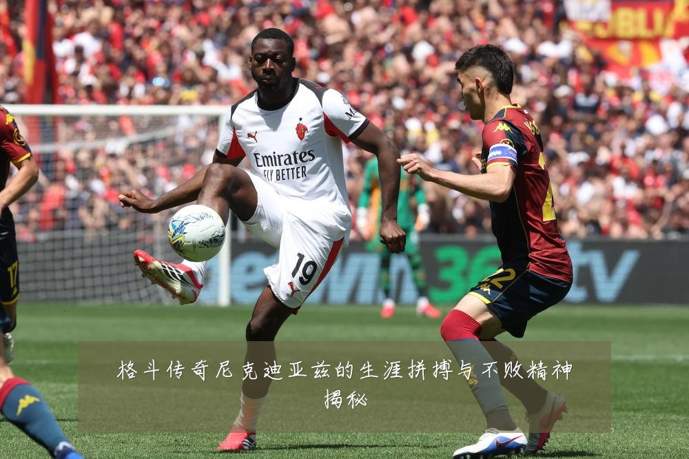 格斗传奇尼克迪亚兹的生涯拼搏与不败精神揭秘